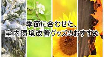 Do’s and don’ts for buying used pickup trucks