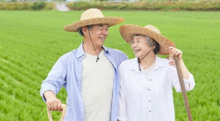 Do’s and don’ts for buying used pickup trucks