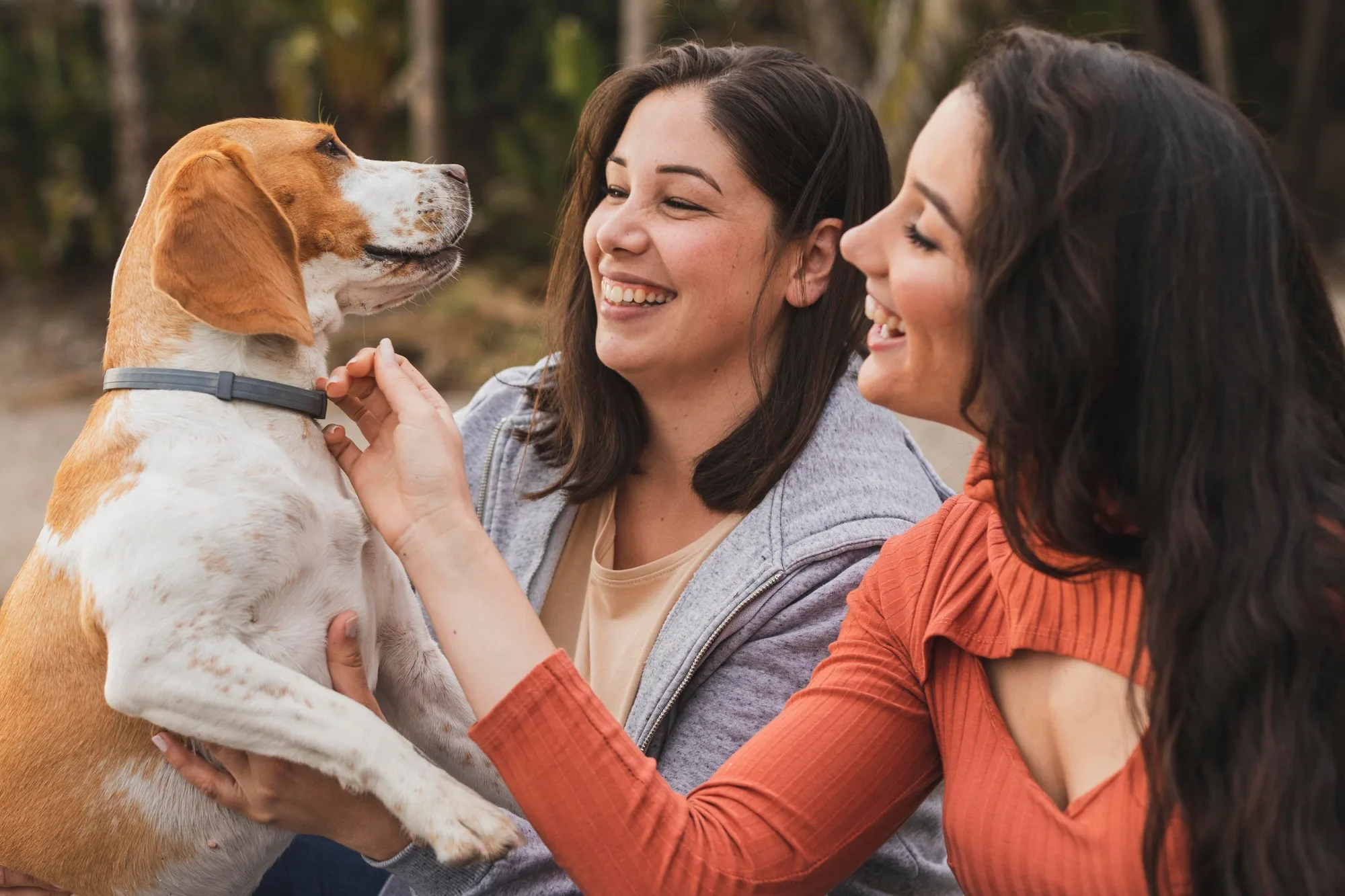 Learn About Moneybird Credit Card Payment Solutions